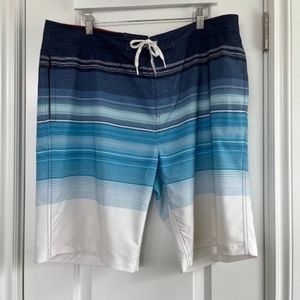 Goodfellow & Co Men's 9" Striped Swim Shorts